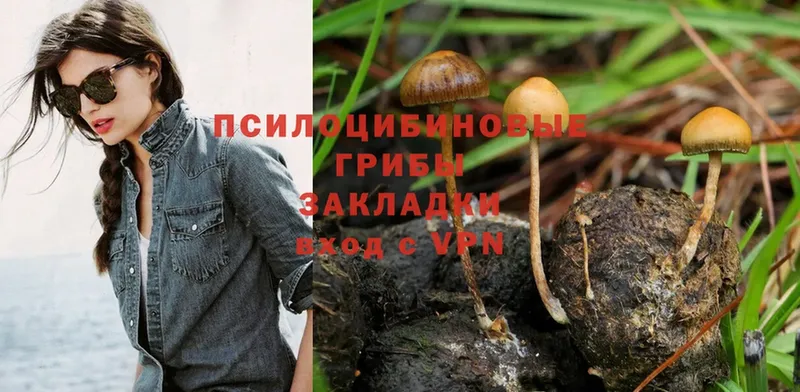 нарко площадка какой сайт  Новое Девяткино  Псилоцибиновые грибы MAGIC MUSHROOMS 